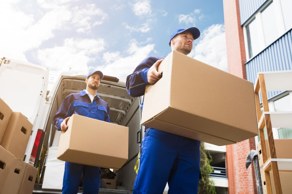 Packing Services Anna